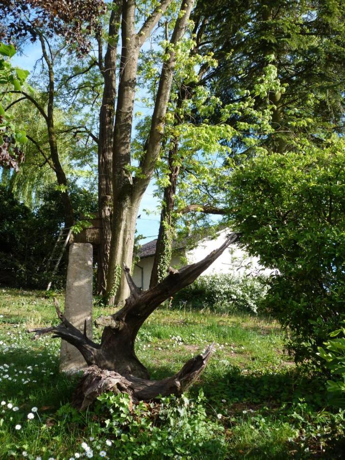 Gîte d'Maïsala Les Mésanges Heidwiller Extérieur photo
